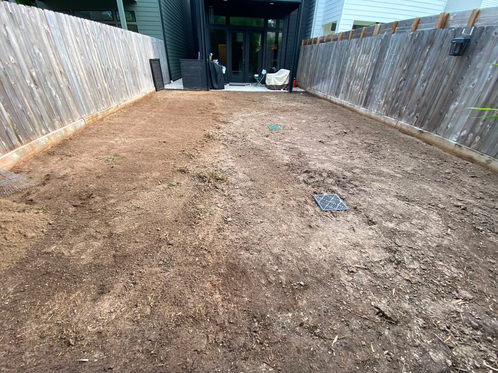Completed sod and lawn improvement project